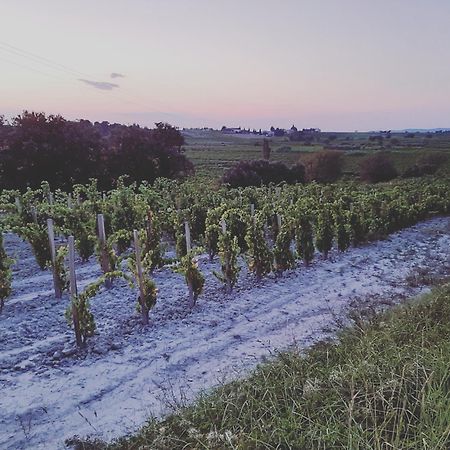 Masqueyras Villa Vacqueyras Bagian luar foto