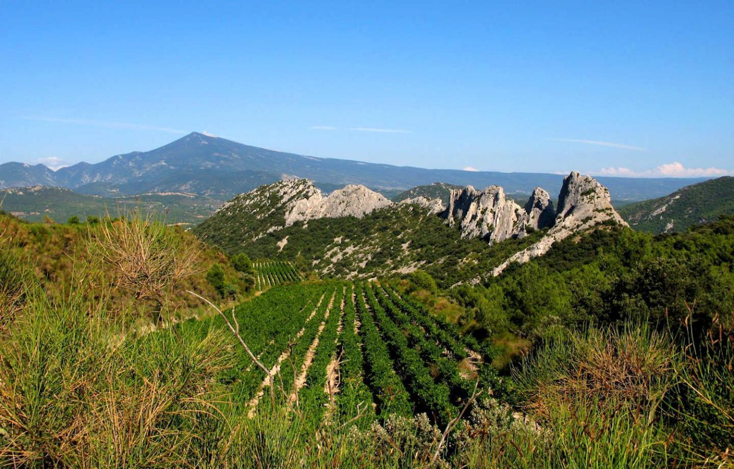 Masqueyras Villa Vacqueyras Bagian luar foto