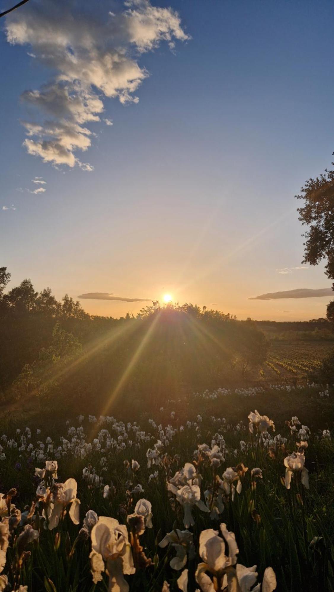 Masqueyras Villa Vacqueyras Bagian luar foto